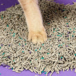 PETKIT 5-in-1 doorspoelbare klontvormende kattenbakvulling, 4 zakken – afbeelding 4